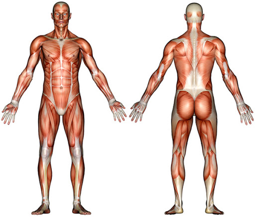 Common Injuries